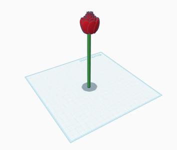 Rose   