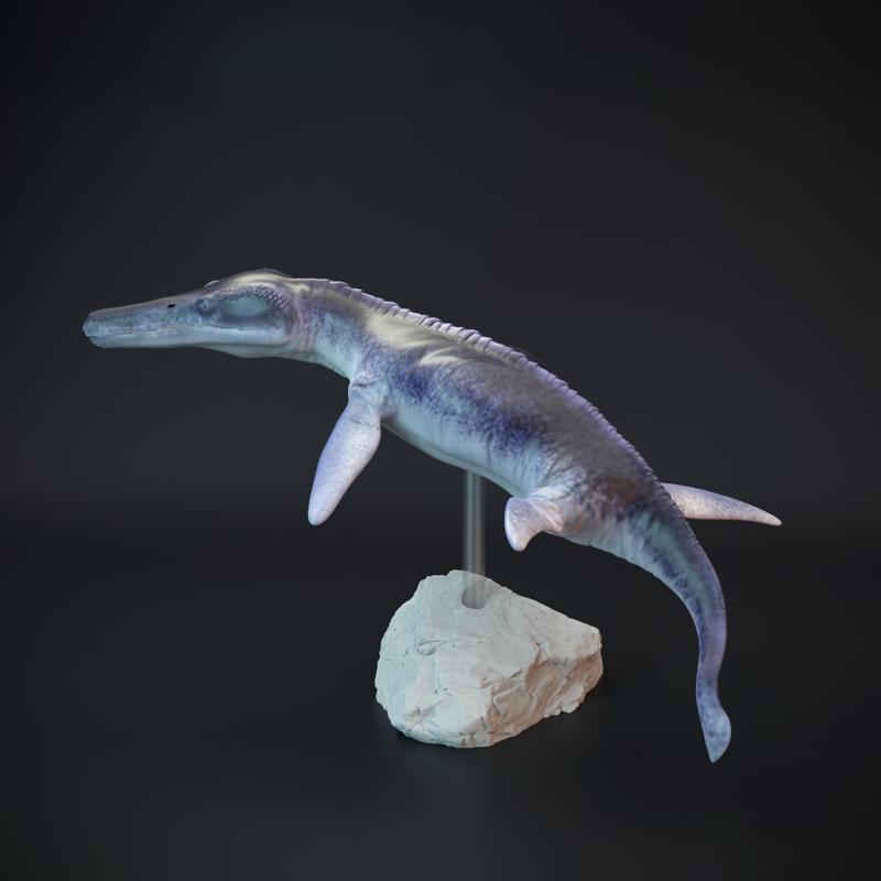 Kronosaurus swimming marine reptile