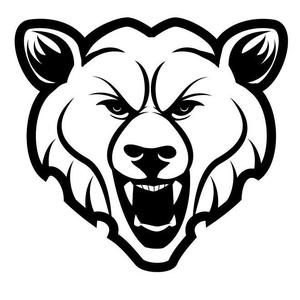 2D Bear
