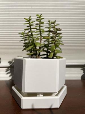 Hexagon Plant Pot