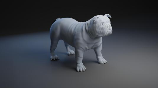 English Bulldog (Pre-Supported)