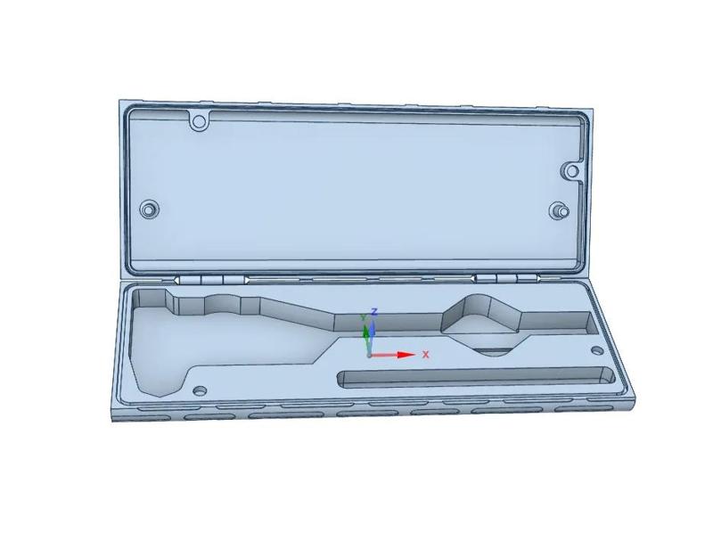 Caliper case   