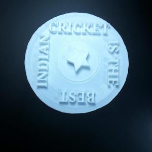 Indian cricket logo