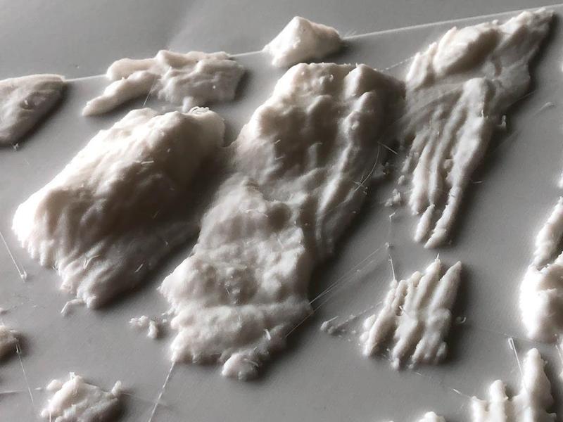 Galiano Island and Saltspring Island 3D Map