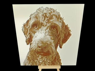Dog Labradoodle Portrait HueForge