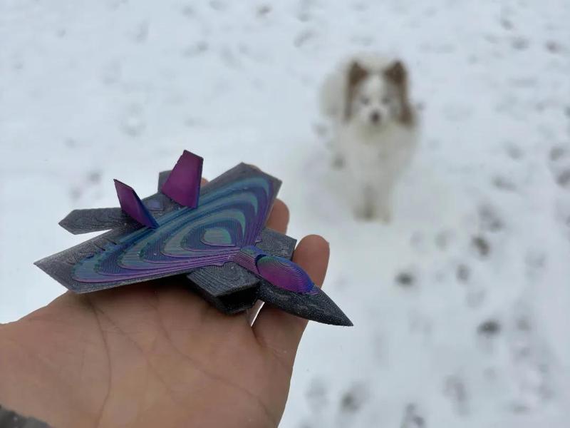 Fighter Jet F-22 Raptor