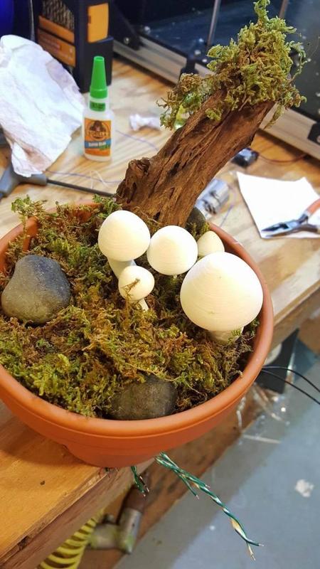 PMW Mushroom Display