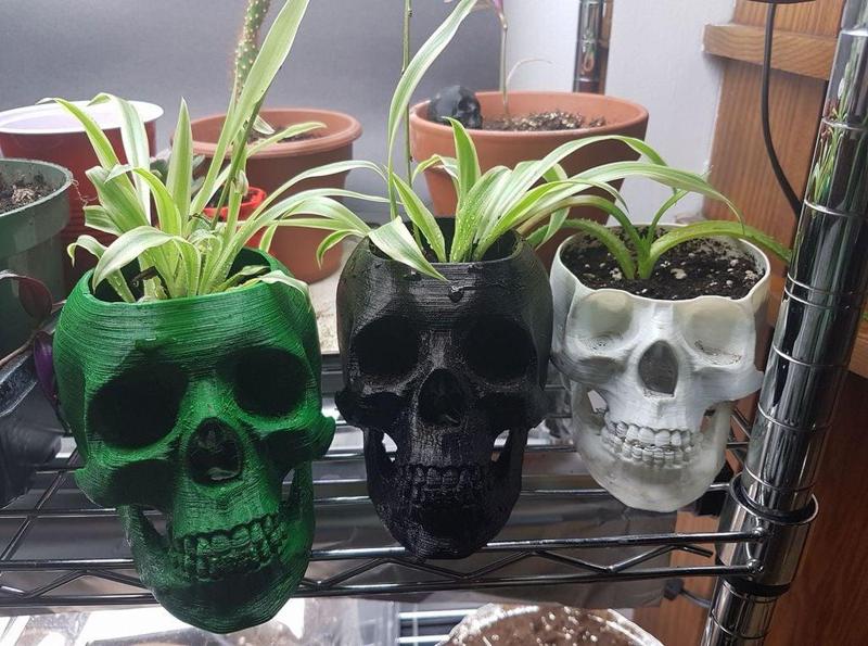 Skull pot