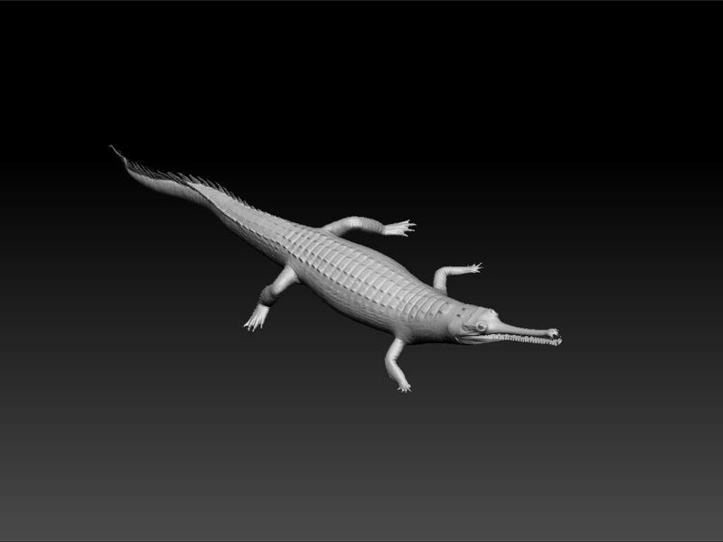 Gharial 3d model for 3d print -Gavialis gangeticus