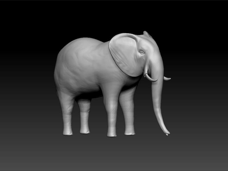 Elephant -Elephant Toy