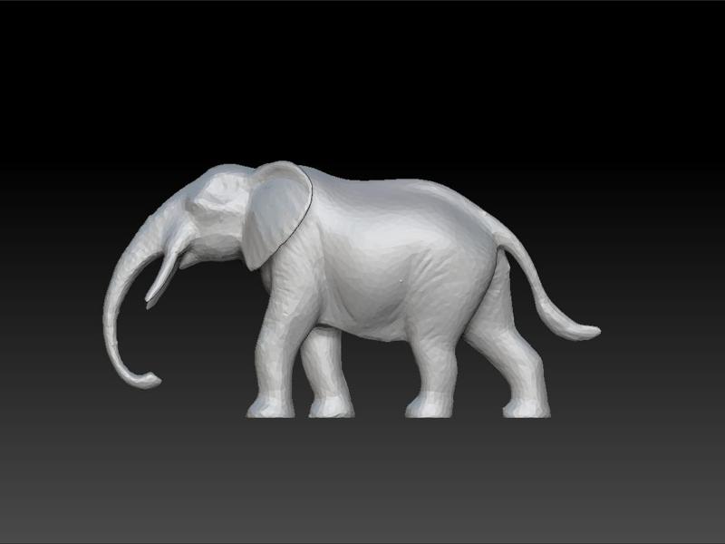 Elephant
