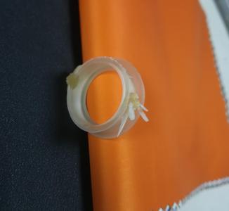 Seal ring with rose and dragonfly