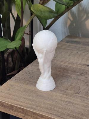 FIFA World Cup Trophy