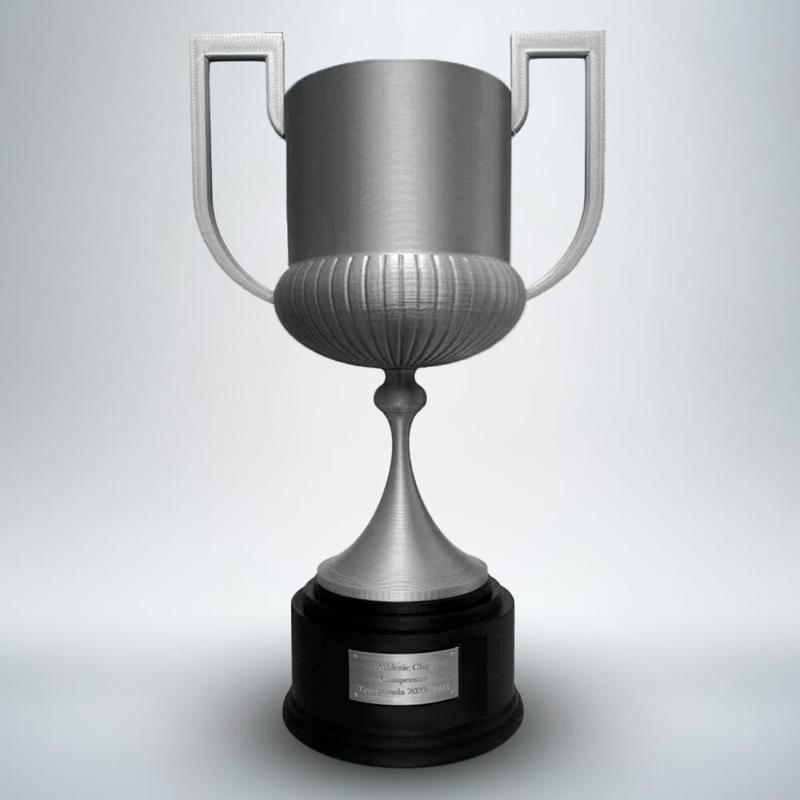 🏆 Copa del Rey 3D - Faithful replica