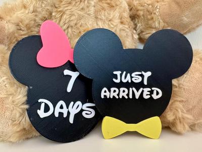Disney Baby Milestone Minnie Mickey Customisable