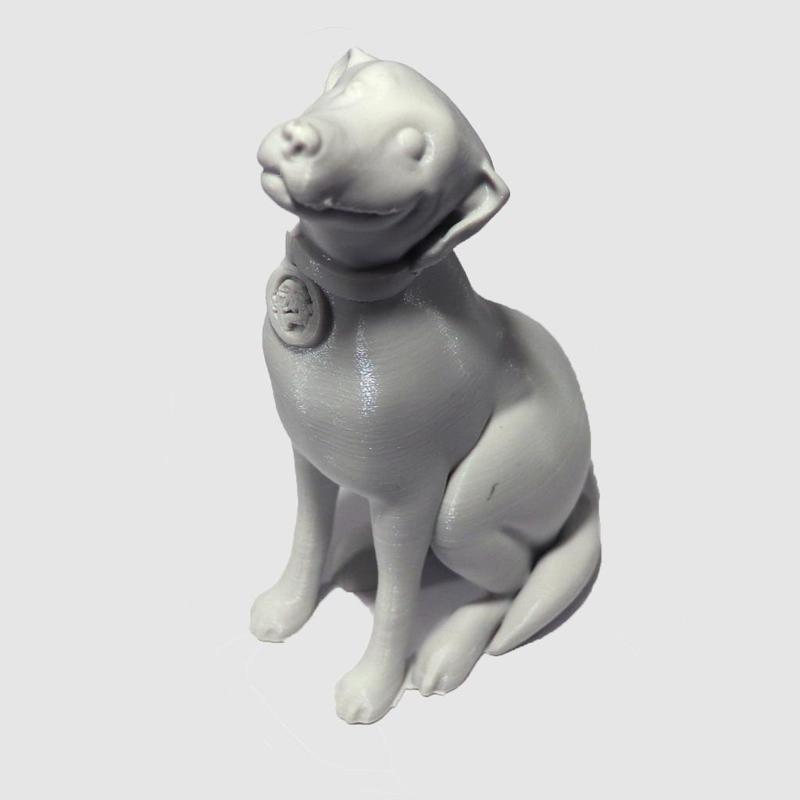 Printed Solid Jessie