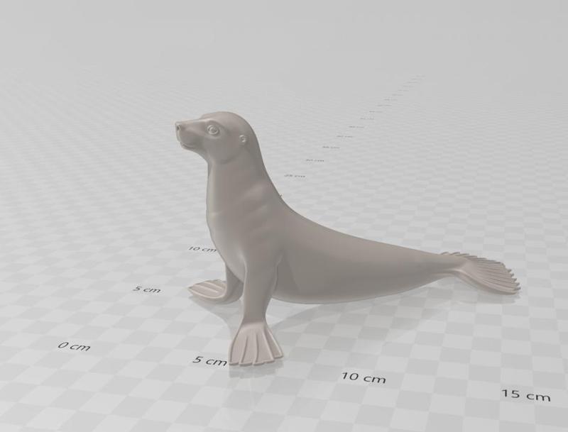 Realistic 3D Seal Model | Sculptural Detail | Ideal for Dioramas, Education or Decoration