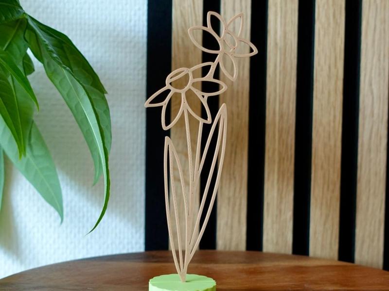 Birth flower for December - Daffodil