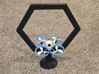 Mini Drone Hoop