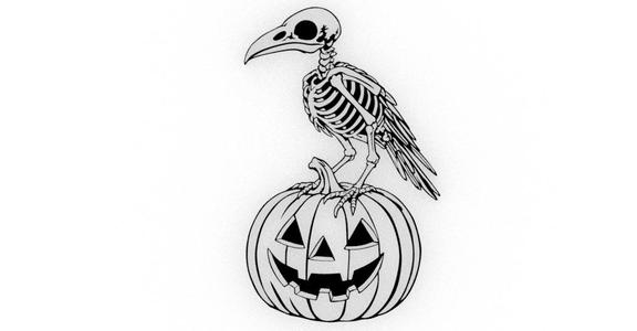 crow skeleton