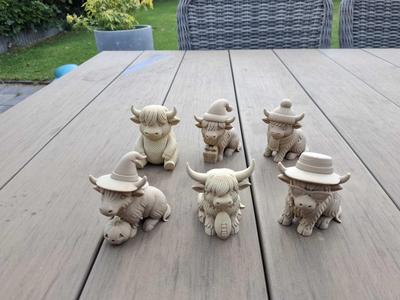 Coo-l Seasons Collection — Set of 6 Highland Minis