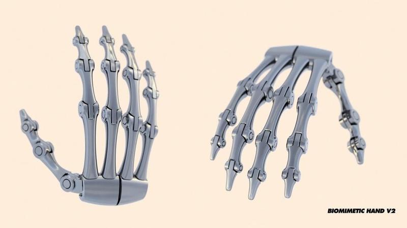 Biomimetic Hand V2