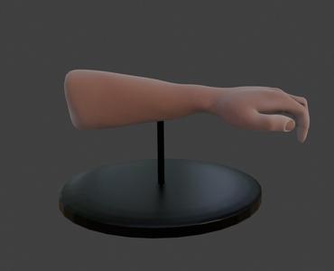 HAND STAND FOR WATCHES AND BRACELETS