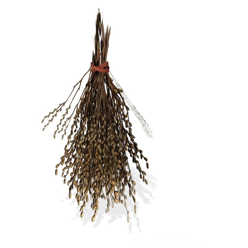 Herbs VEGETABLE ROPE Blackberry Tomato Herbs Pepper Bread Pumpkin Zucchini Carrot Lettuce Cabbage Apple Melon Watermelon kactus Pineapple Plantain Banana Grape Ocume Cake Strawberry Hamburger Mango Pear Papaya Mussel Lemon Basket Box Plate Kiwi