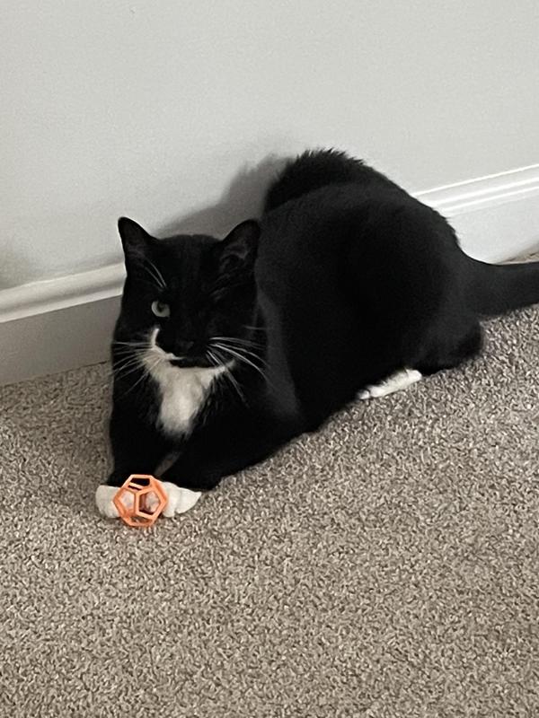 Hollow Dodecahedron Frame