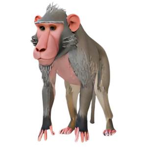Realistic Baboon