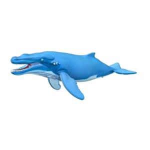Expressive Blue Whale