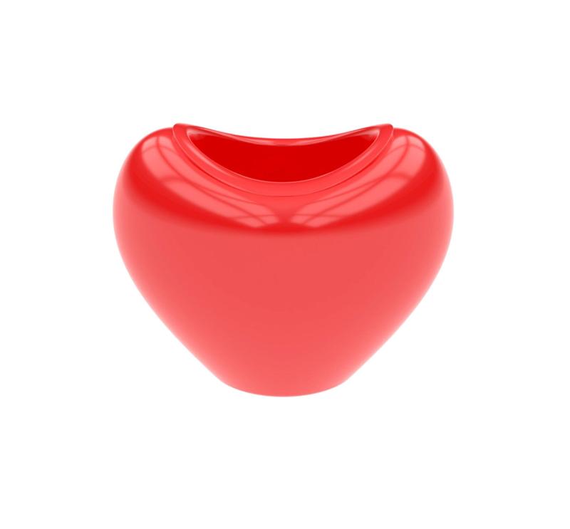 Heart-shaped flower pot - Valentine's Day special ❤️