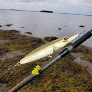 Topwater Fishing Lure