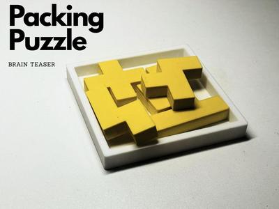Packing Puzzle – 3D Printed Classic