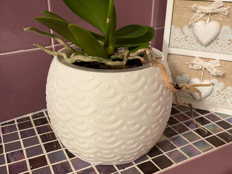 decorative vase