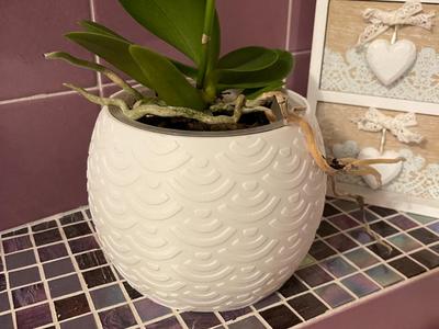 decorative vase