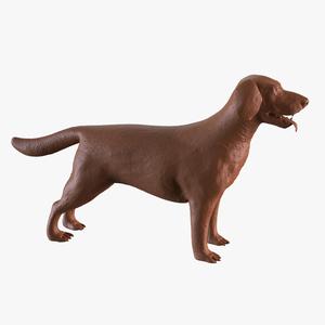 Labrador