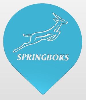 SPRINGBOK RUGBY DUSTER