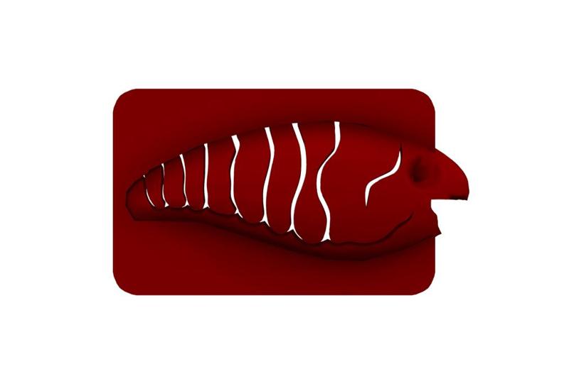 Lure Stencil - Norman (craw12)