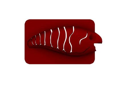 Lure Stencil - Norman (craw12)