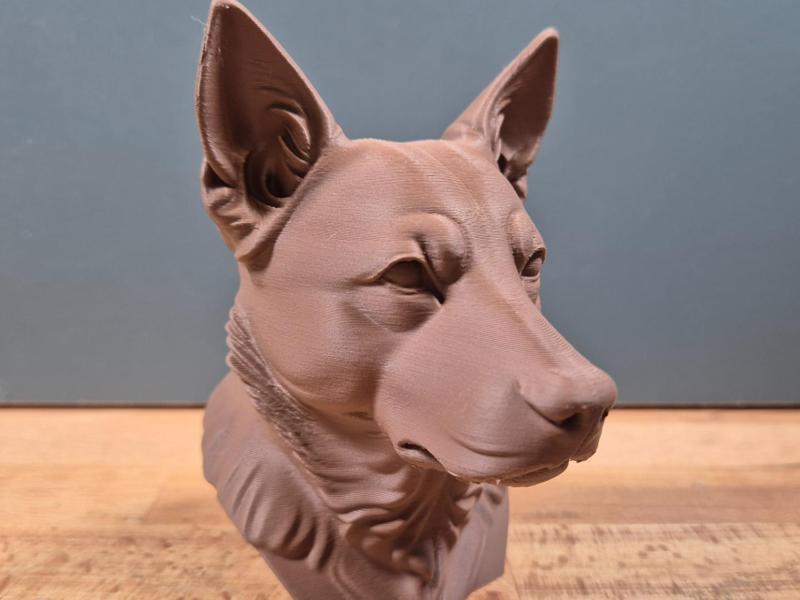 Australian Cattledog Bust