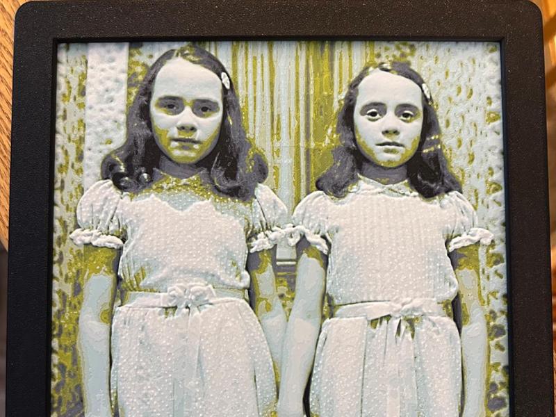 The Shining Twins Hueforge