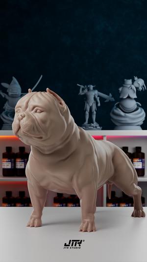 American Bully Dog