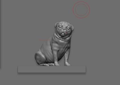 pug , dog