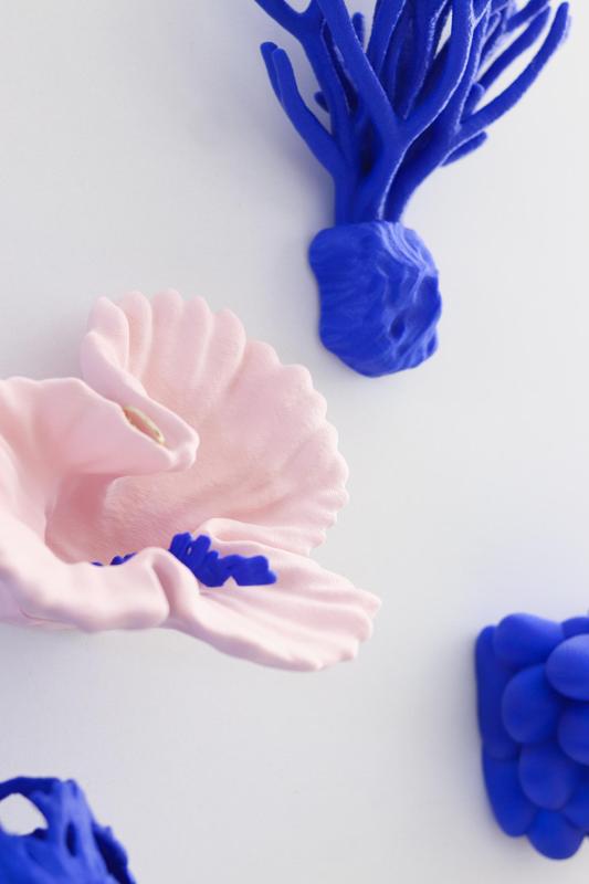 Fox Coral | Wall Mount