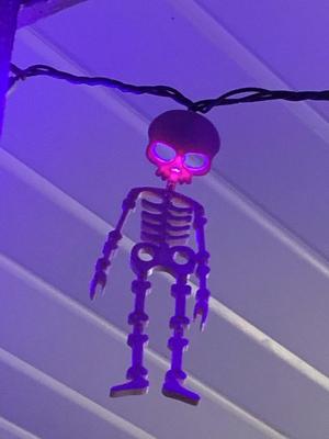 Flexi Skeleton w/ Light Clip