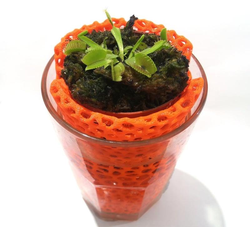 Voronoi planter for glass