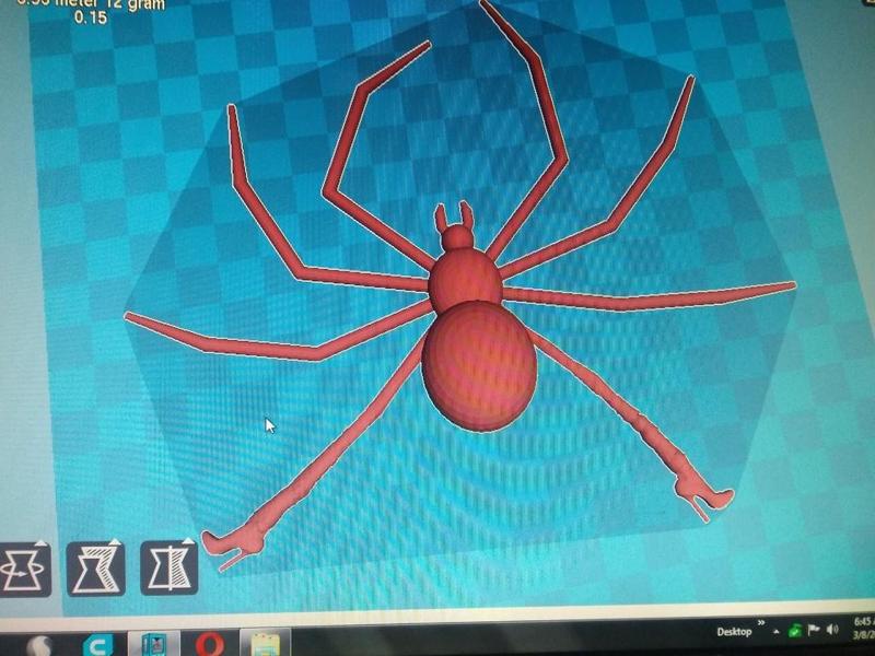 Ashley's cinnamon spider