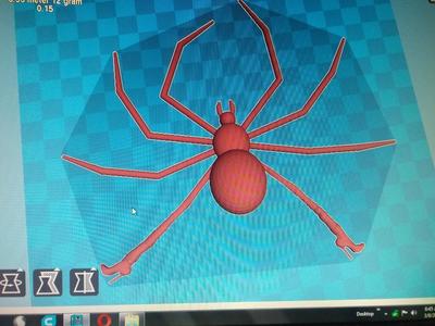 Ashley's cinnamon spider