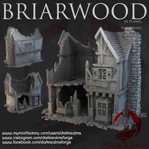 Dark Realms - Briarwood - Shop 2 Ruins